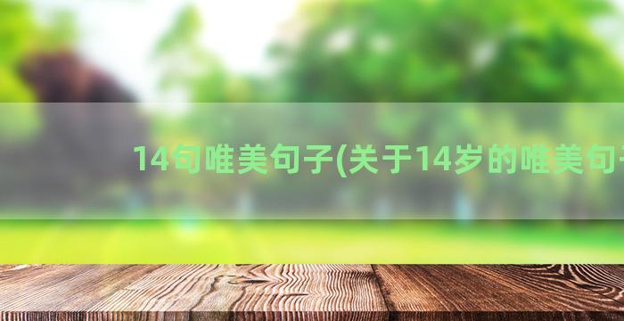 14句唯美句子(关于14岁的唯美句子)