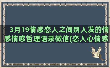 3月19情感恋人之间别人发的情感情感哲理语录微信(恋人心情感)