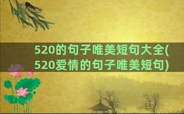 520的句子唯美短句大全(520爱情的句子唯美短句)