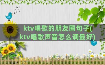 ktv唱歌的朋友圈句子(ktv唱歌声音怎么调最好)