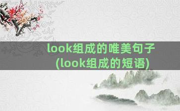 look组成的唯美句子(look组成的短语)