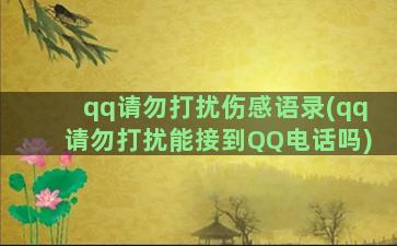 qq请勿打扰伤感语录(qq请勿打扰能接到QQ电话吗)