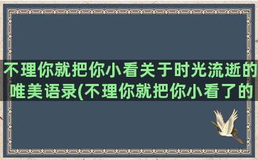 不理你就把你小看关于时光流逝的唯美语录(不理你就把你小看了的说说)