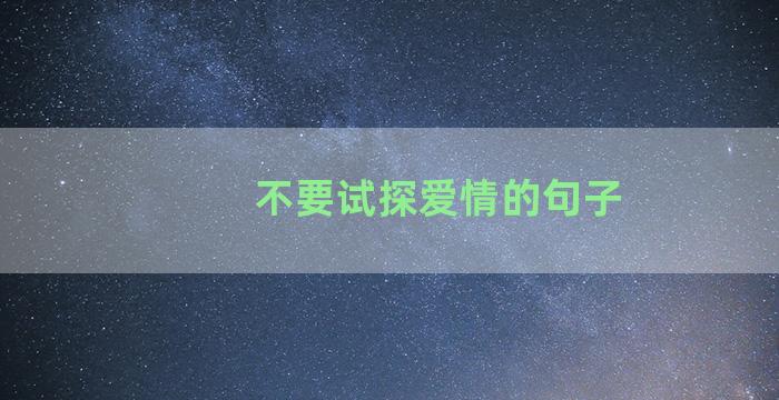 不要试探爱情的句子