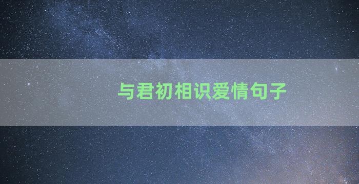 与君初相识爱情句子