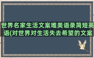 世界名家生活文案唯美语录简短英语(对世界对生活失去希望的文案)