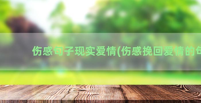 伤感句子现实爱情(伤感挽回爱情的句子)