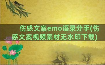 伤感文案emo语录分手(伤感文案视频素材无水印下载)