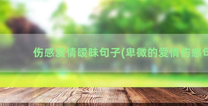 伤感爱情暧昧句子(卑微的爱情伤感句子)