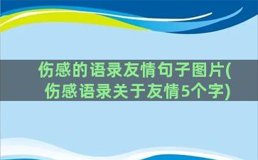 伤感的语录友情句子图片(伤感语录关于友情5个字)