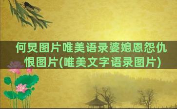 何炅图片唯美语录婆媳恩怨仇恨图片(唯美文字语录图片)