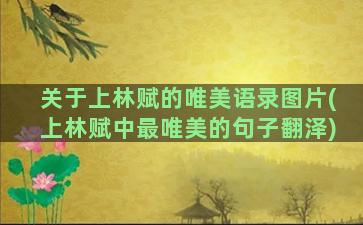 关于上林赋的唯美语录图片(上林赋中最唯美的句子翻泽)