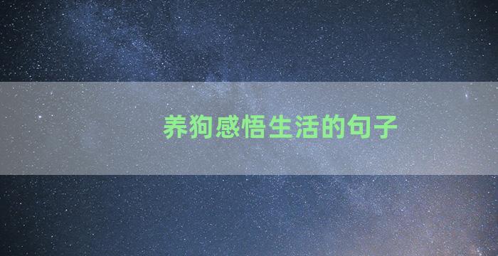 养狗感悟生活的句子