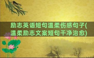 励志英语短句温柔伤感句子(温柔励志文案短句干净治愈)