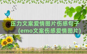 压力文案爱情图片伤感句子(emo文案伤感爱情图片)