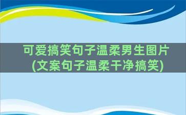 可爱搞笑句子温柔男生图片(文案句子温柔干净搞笑)