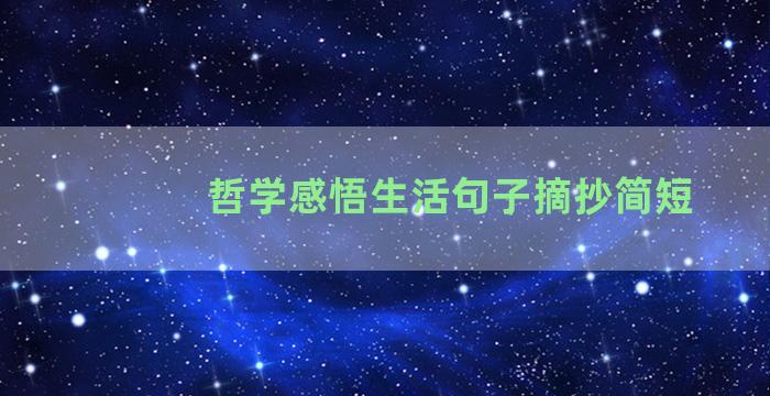 哲学感悟生活句子摘抄简短