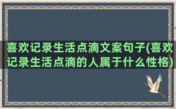 喜欢记录生活点滴文案句子(喜欢记录生活点滴的人属于什么性格)