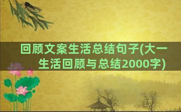 回顾文案生活总结句子(大一生活回顾与总结2000字)