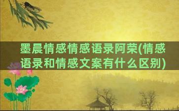 墨晨情感情感语录阿荣(情感语录和情感文案有什么区别)