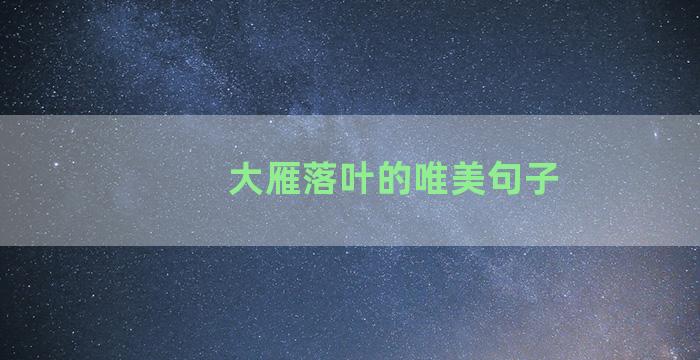 大雁落叶的唯美句子