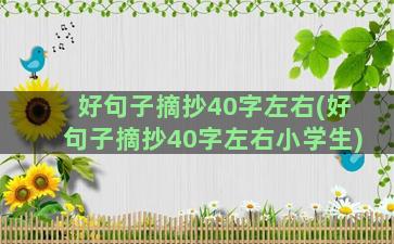 好句子摘抄40字左右(好句子摘抄40字左右小学生)