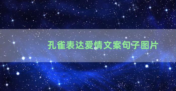 孔雀表达爱情文案句子图片