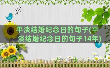 平淡结婚纪念日的句子(平淡结婚纪念日的句子14年)