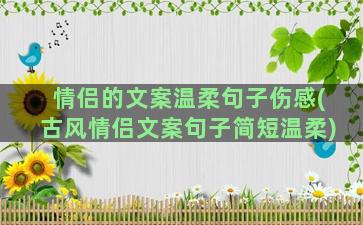 情侣的文案温柔句子伤感(古风情侣文案句子简短温柔)