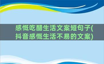 感慨吃醋生活文案短句子(抖音感慨生活不易的文案)