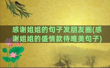 感谢姐姐的句子发朋友圈(感谢姐姐的盛情款待唯美句子)