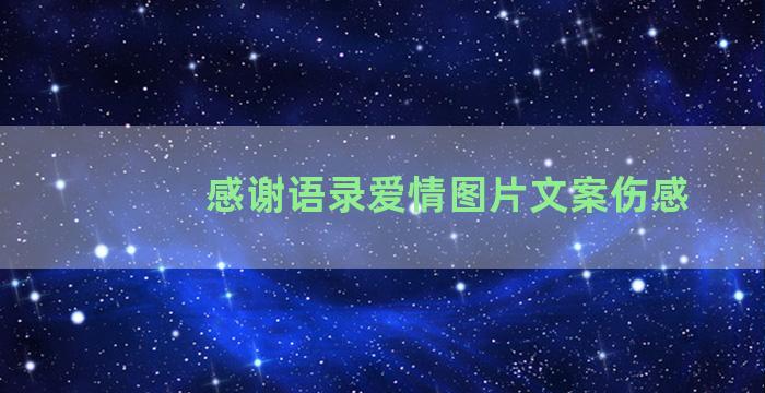 感谢语录爱情图片文案伤感