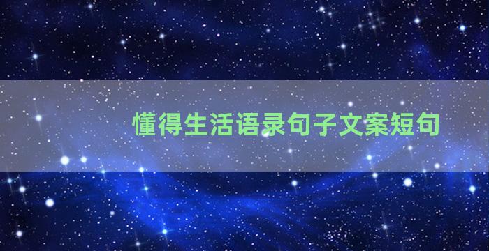 懂得生活语录句子文案短句