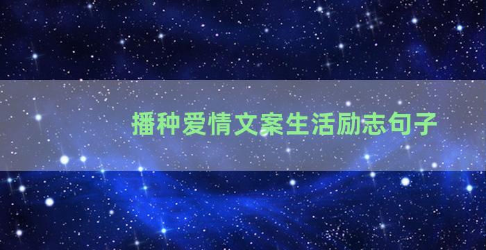 播种爱情文案生活励志句子