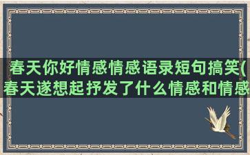 春天你好情感情感语录短句搞笑(春天遂想起抒发了什么情感和情感)