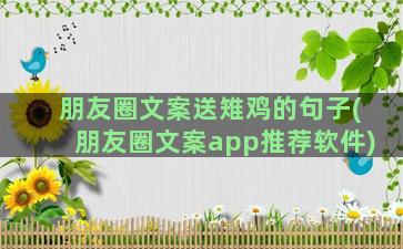 朋友圈文案送雉鸡的句子(朋友圈文案app推荐软件)