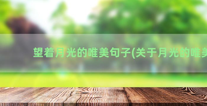 望着月光的唯美句子(关于月光的唯美句)