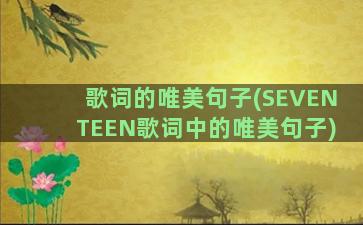 歌词的唯美句子(SEVENTEEN歌词中的唯美句子)