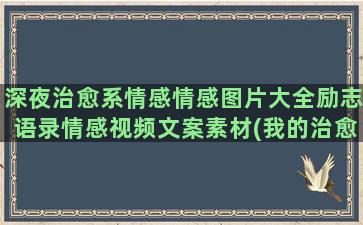 深夜治愈系情感情感图片大全励志语录情感视频文案素材(我的治愈系游戏有感情戏吗)