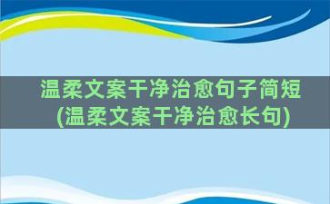 温柔文案干净治愈句子简短(温柔文案干净治愈长句)