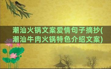 潮汕火锅文案爱情句子摘抄(潮汕牛肉火锅特色介绍文案)