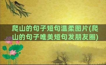 爬山的句子短句温柔图片(爬山的句子唯美短句发朋友圈)