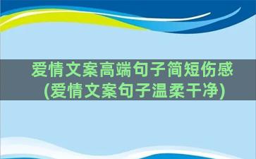 爱情文案高端句子简短伤感(爱情文案句子温柔干净)