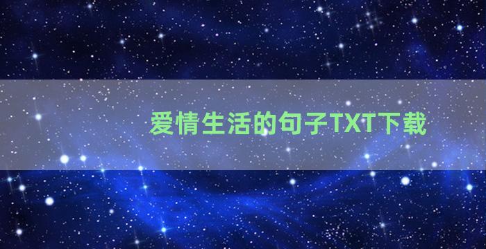 爱情生活的句子TXT下载