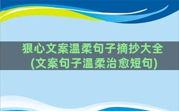 狠心文案温柔句子摘抄大全(文案句子温柔治愈短句)