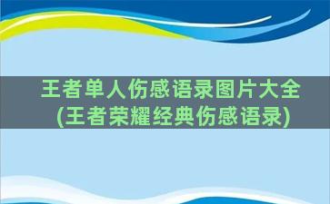 王者单人伤感语录图片大全(王者荣耀经典伤感语录)