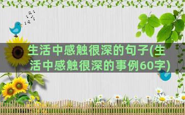 生活中感触很深的句子(生活中感触很深的事例60字)