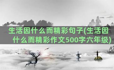 生活因什么而精彩句子(生活因什么而精彩作文500字六年级)