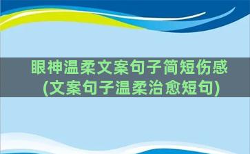 眼神温柔文案句子简短伤感(文案句子温柔治愈短句)