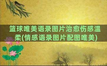 篮球唯美语录图片治愈伤感温柔(情感语录图片配图唯美)